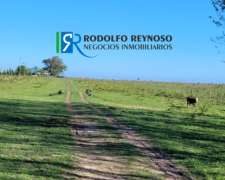 85 HA. Agrícolas en Cnia. Elía. Entre Ríos