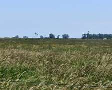 Vendo Germania Provincia de Buenos Aires