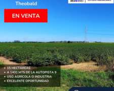 Campo Agrícola de 15 Hectáreas en Theobald (santa FE)