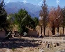 Campo en Venta de 357 Has Santa Maria, Catamarca