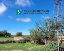 1.100 Ha Dpto Gualeguaychú (zona Sur)