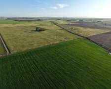 49 Ha Centeno (santa FE) - Agrícola.