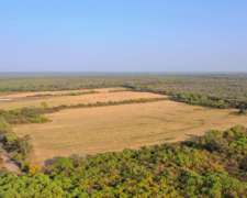 Pcia. de Salta - Macapillo 517 Has