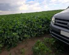 185 Has Agricolas Gral Pinto