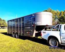 Semirremolque Homologada para Caballos Formato Americano