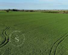 Campo 100% Agrícola. Dto. La Capital, Santa Fe. 67 Has.