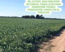 Santiago del Estero Ftin Inca 8000 Hect Agric VTA Destacado