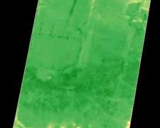 Recibo Hacienda en Capitalización