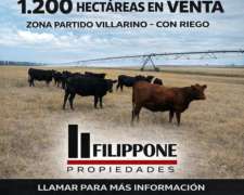 Vendo Excelente Campo Zona Luro 1200 Has con RIEG0