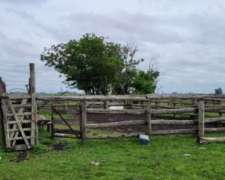 225 Ha en Ubajay - Dto. Colón. Entre Ríos