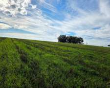 Campo Agricola Ochandio San Cayetano