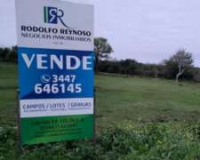 200 Ha en C. del Uruguay