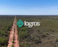 Campo en el Tunal, Salta