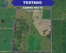 Campo Mixto 400has Tostado