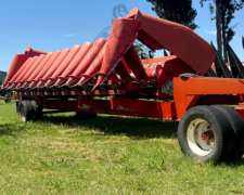 Maicero Ombu cm 2008 de 11 Surcos