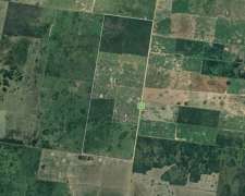 Campo Mixto Agrícola-ganadero En Venta – Dpto. 9 De Julio