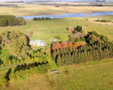 48 Has en Punta Indio, BS. AS. - Agrícola/haras - Venta