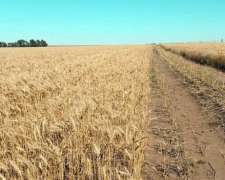 1.265 Ha Cabildo, Bahia Blanca