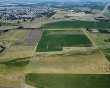 Venta: 30 Hectáreas en Arrecifes, Campo Agroganadero