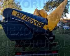 Maicero de Grande 16 a 52 ED 2020, año 2021. 900 Has