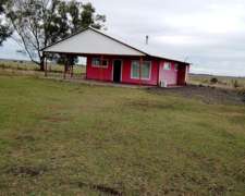 Campo de Cría en Bahía Blanca