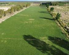 Finca de 48.8 Ha en la Dormida, Santa Rosa