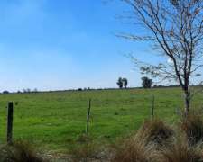 Se Venden 107 Has en Zona Aurelia