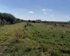 60 Hectareas Mixtas, Concepcion del Uruguay