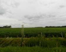 220 Has Agrícolas Clase I/ii Capitán Sarmiento