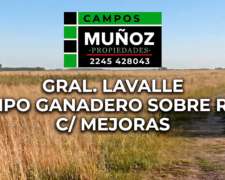 Gral. Lavalle Campo Ganadero Sobre Ruta C/ Mejoras