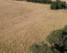 300 Has Monte Nievas