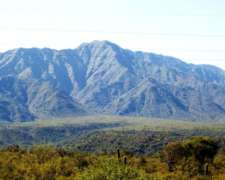 Campo Mixto en Venta Patquia - la Rioja