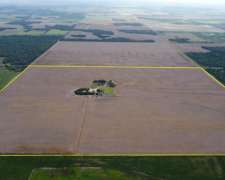 100 Has en Venta - Pcia del Chaco, las Breñas 1