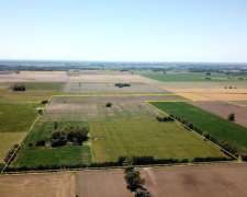 49 Has. Campo Agrícola en Torres - Carlos Keen