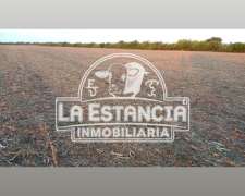 65 Has En Hasenkamp Muy Buena Ubicación