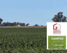 Campo Agrícola General Villegas