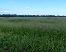 Vendo Campo Agrícolo Ganadero