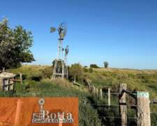 11000has en Venta en Santa Isabel, la Pampa