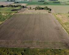 20 Ha Agricolas en Roque Pérez (BS AS)