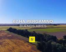 67ha Pergamino Buenos Aires