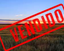 60 Has. Carhue, Pdo. Adolfo Alsina