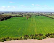 74 Has en Campana, BS. AS. - Agrícola/desarrollo - Venta