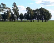 Vendo Campo Mixto Cercano a Ruta