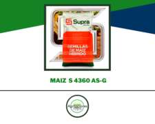 Semilla De Maiz Supra S4360 As-g - Supra Semillas