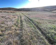 Campo Ganadero a 16 km de la Carolina
