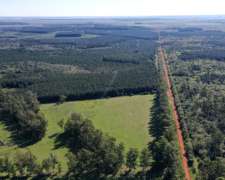 Campo Ganadero de 750 Ha Virasoro, Ctes. Alambrado, Corrales