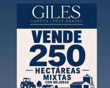 Campo Mixto de 250 Hectáreas San Antonio de Areco