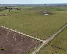 Venta Campo Mixto. 64 HA. la Criolla, Santa FE.