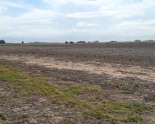 Campos en Peyrano 150, 100, 42, 8 Has