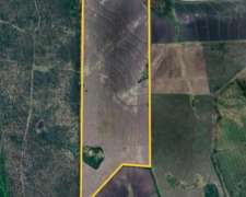 Venta. 60 Has Agrícolas en Rosario del Tala